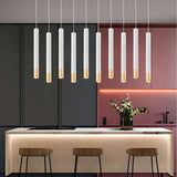 Modern Single Head Long Tube Pendant